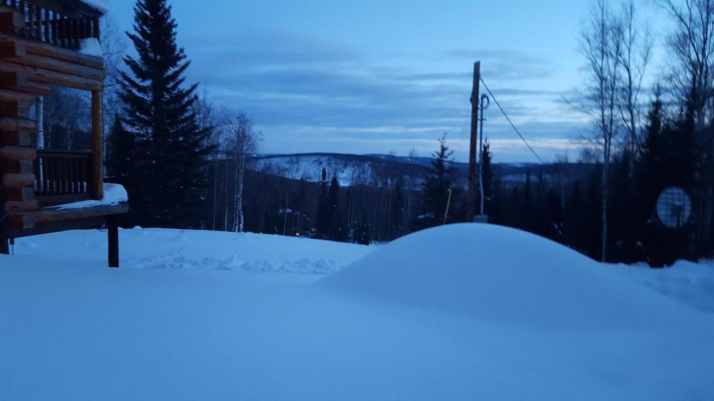 Wildmoon Home Fairbanks Exteriör bild